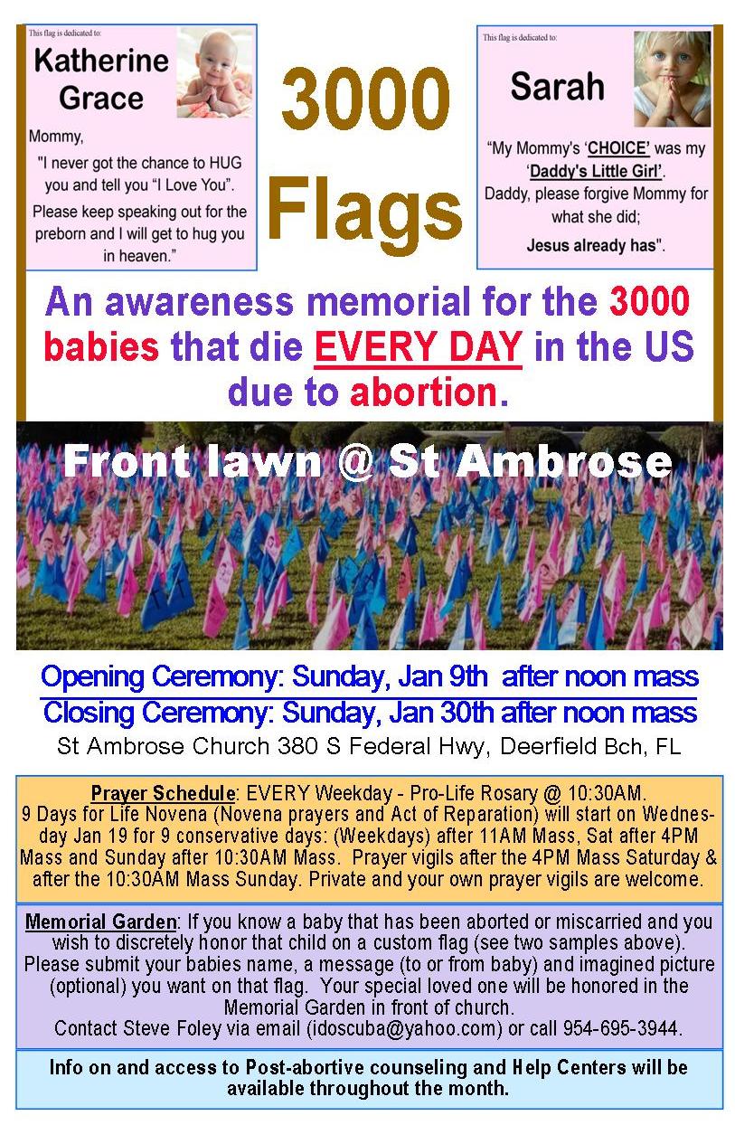 3000 flags flyer