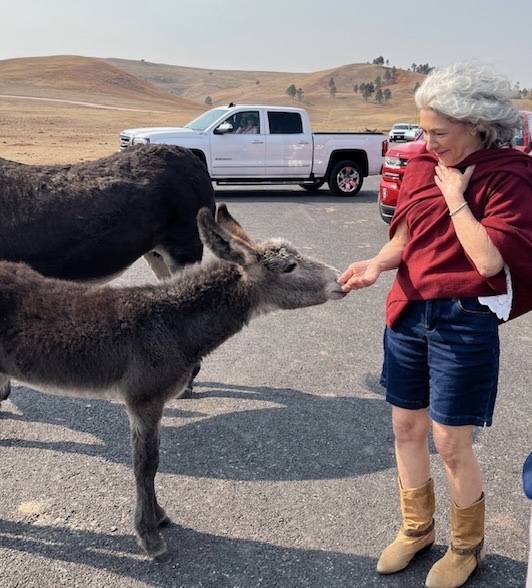 Toni with baby donkey SD